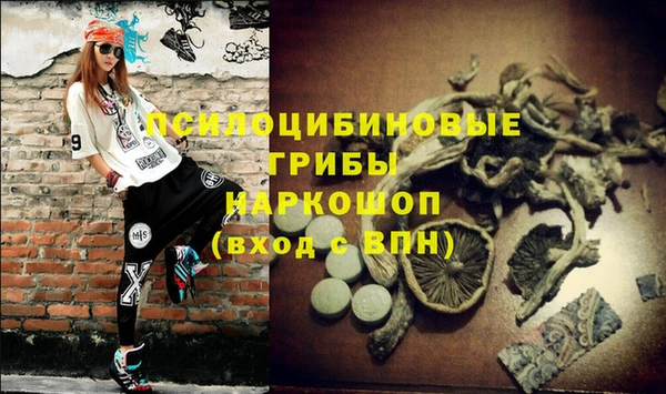 ПСИЛОЦИБИНОВЫЕ ГРИБЫ Алексеевка