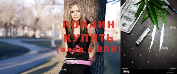ПСИЛОЦИБИНОВЫЕ ГРИБЫ Алексеевка